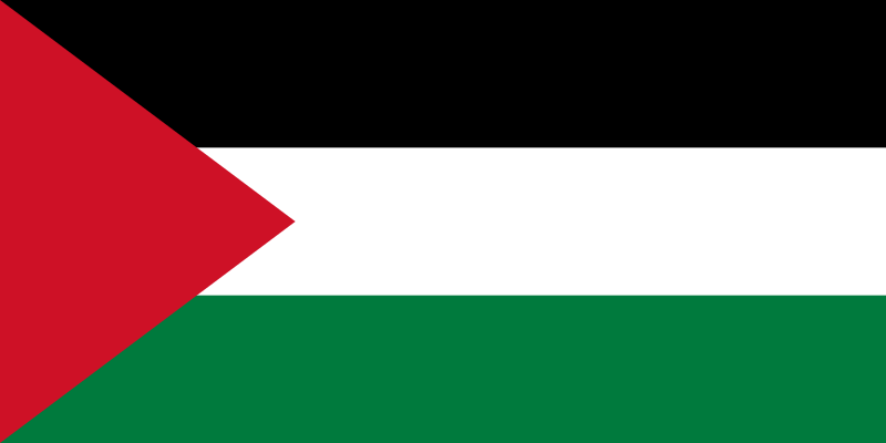 巴勒斯坦國旗圖案