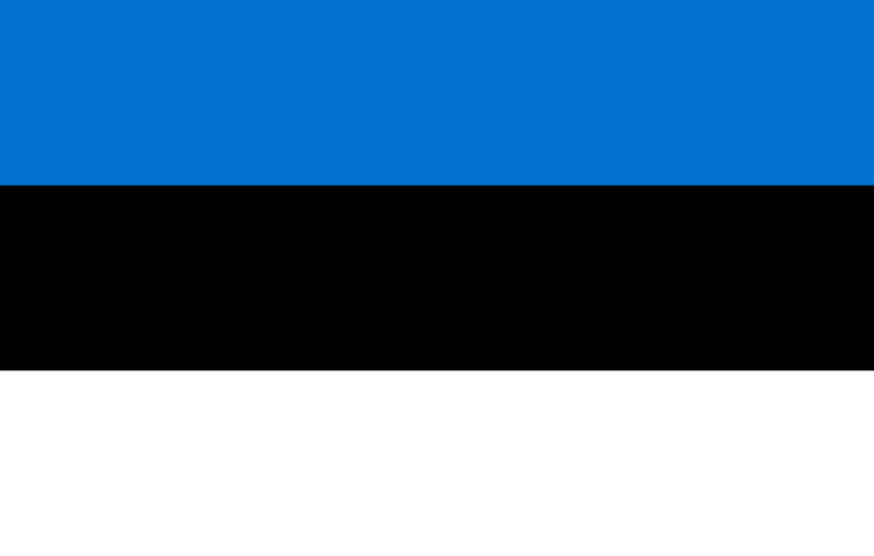 愛沙尼亞國旗圖案