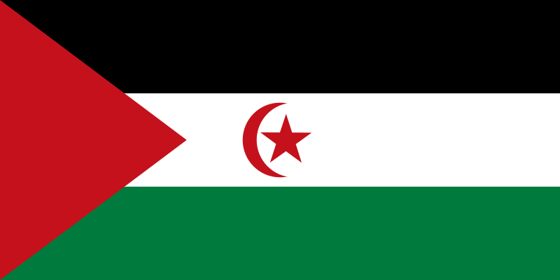 撒拉威阿拉伯民主共和國國旗圖案